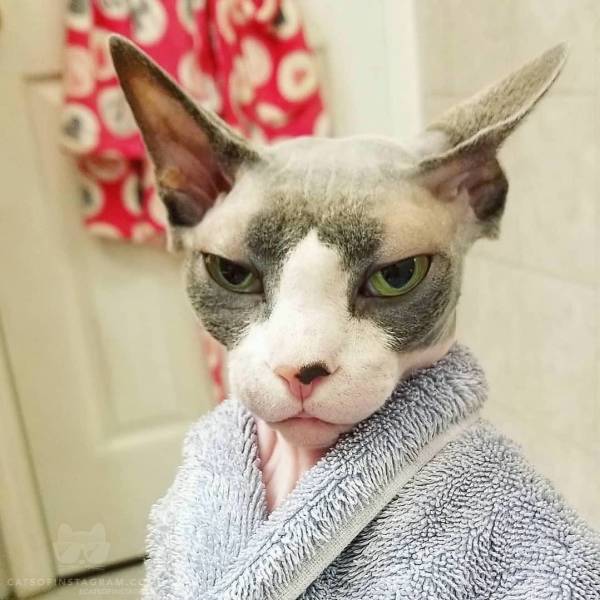 daily picdump 97 pics 6.html - 97 HD Photos | Premium Gallery 2018