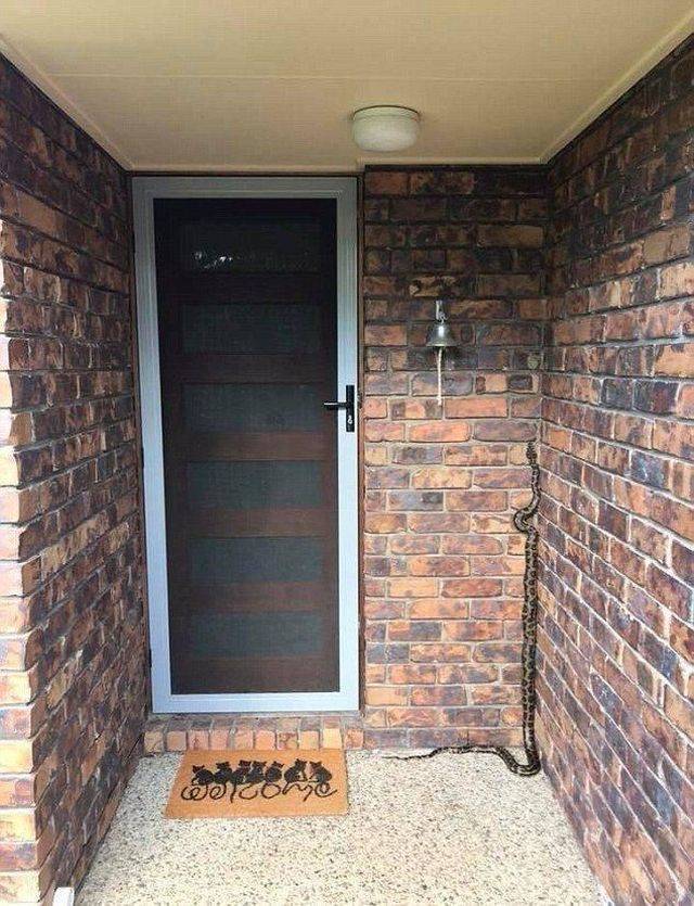 daily picdump 97 pics 6.html - 97 HD Photos | Premium Gallery 2018