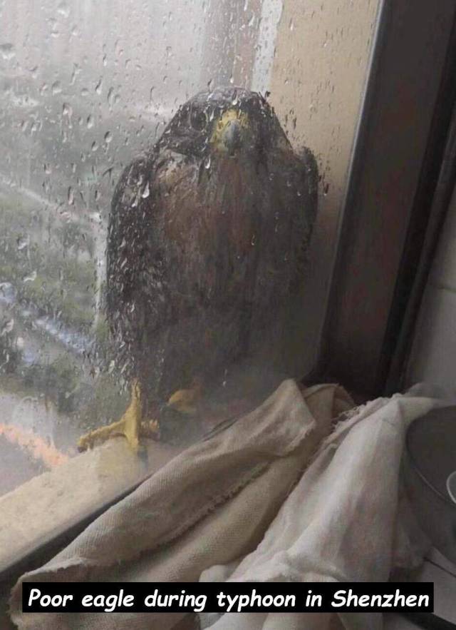 daily picdump 97 pics 6.html - 97 HD Photos | Premium Gallery 2018