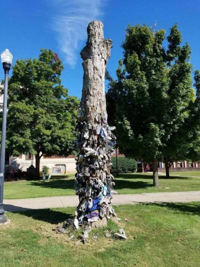 daily picdump 97 pics 6.html - 97 HD Photos | Premium Gallery 2018