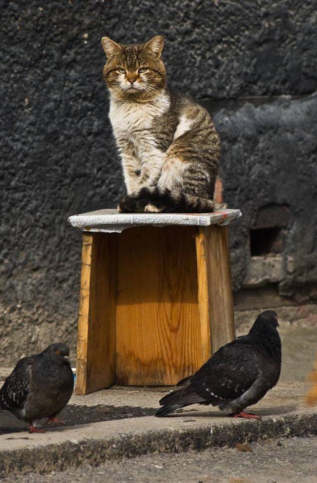 daily picdump 97 pics 6.html - 97 HD Photos | Premium Gallery 2018