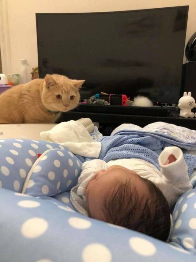 daily picdump 97 pics 6.html - 97 HD Photos | Premium Gallery 2018