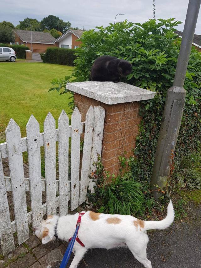 daily picdump 97 pics 6.html - 97 HD Photos | Premium Gallery 2018