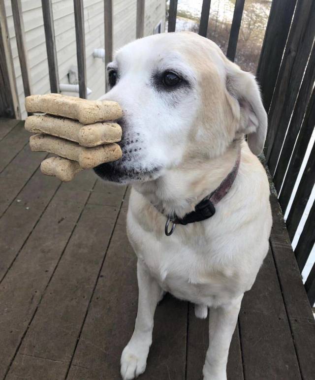 daily picdump 97 pics 6.html - 97 HD Photos | Premium Gallery 2018