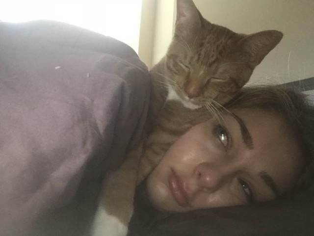 daily picdump 93 pics 3.html - 93 HD Photos | Premium Gallery 2018