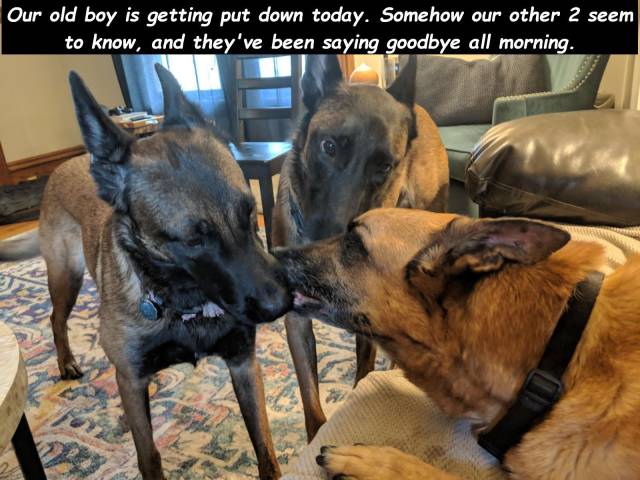 daily picdump 93 pics 3.html - 93 HD Photos | Premium Gallery 2018