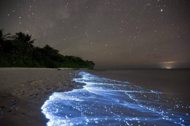 daily picdump 93 pics 3.html - 93 HD Photos | Premium Gallery 2018