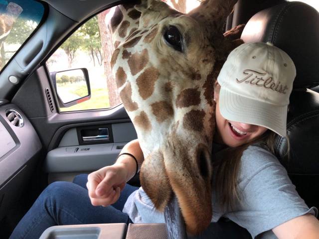 daily picdump 93 pics 3.html - 93 HD Photos | Premium Gallery 2018