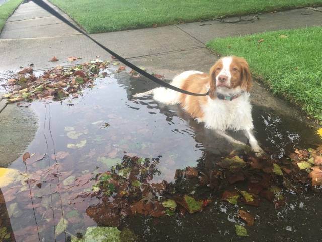 daily picdump 93 pics 3.html - 93 HD Photos | Premium Gallery 2018