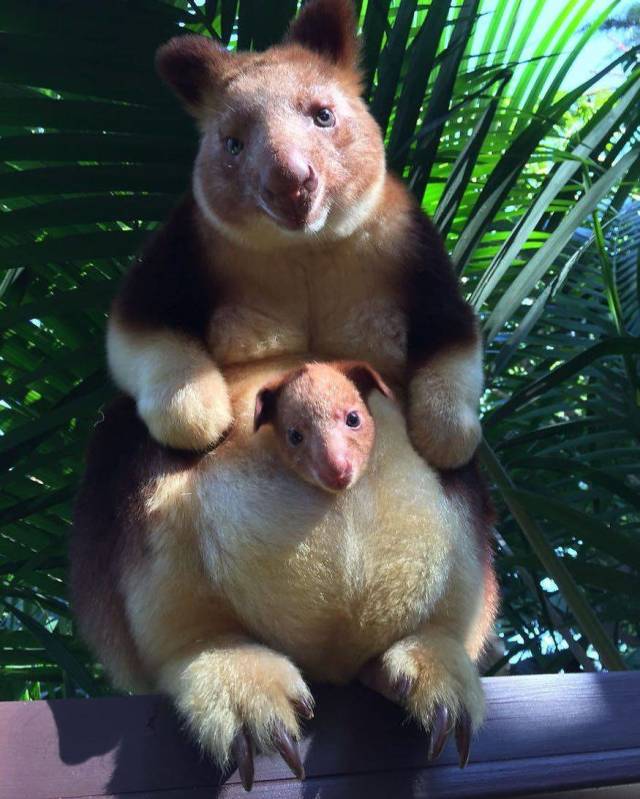 daily picdump 93 pics 3.html - 93 HD Photos | Premium Gallery 2018