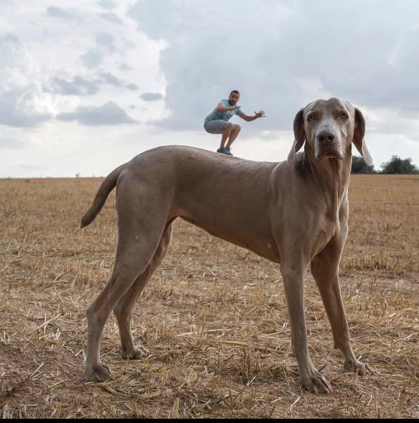 morning picdump 51 pics 9.html - 51 HD Photos | Premium Gallery 2018