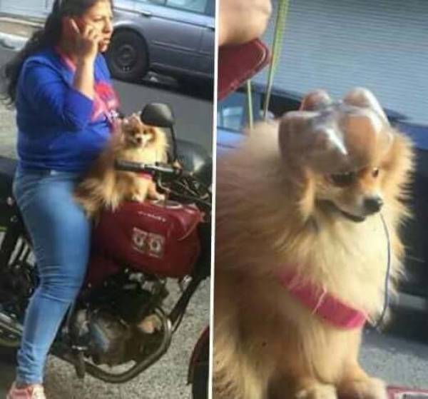 morning picdump 51 pics 9.html - 51 HD Photos | Premium Gallery 2018