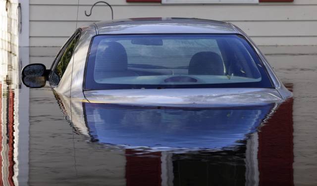 daily picdump 99 pics 33.html - 99 HD Photos | Premium Gallery 2018