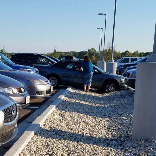 daily picdump 99 pics 33.html - 99 HD Photos | Premium Gallery 2018