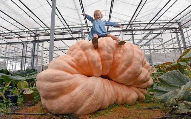 daily picdump 99 pics 33.html - 99 HD Photos | Premium Gallery 2018