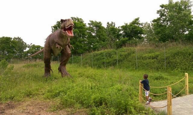 daily picdump 99 pics 33.html - 99 HD Photos | Premium Gallery 2018