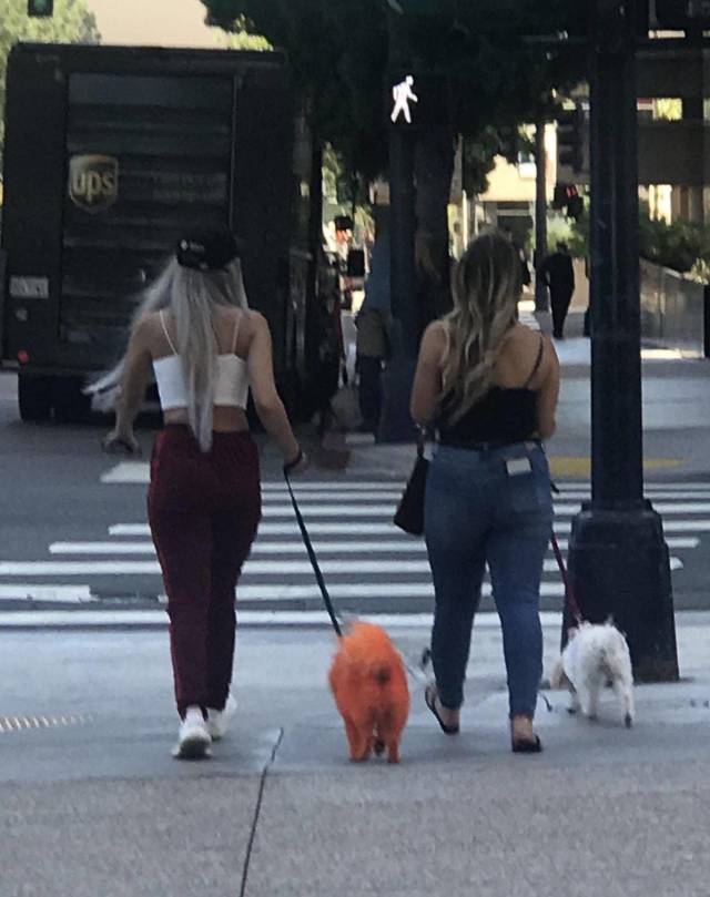 daily picdump 99 pics 33.html - 99 HD Photos | Premium Gallery 2018