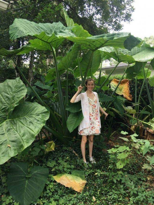 daily picdump 99 pics 33.html - 99 HD Photos | Premium Gallery 2018