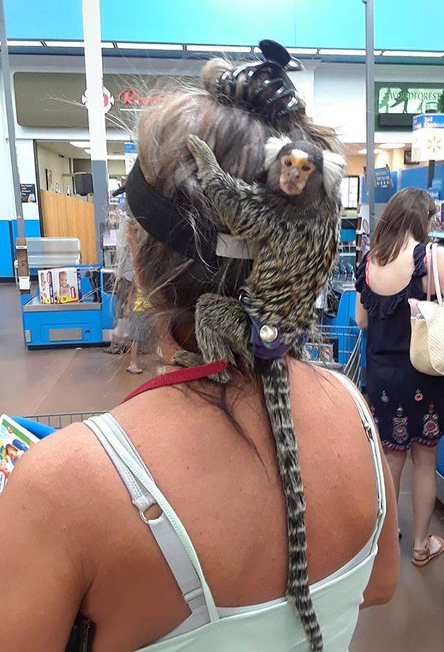 daily picdump 99 pics 33.html - 99 HD Photos | Premium Gallery 2018