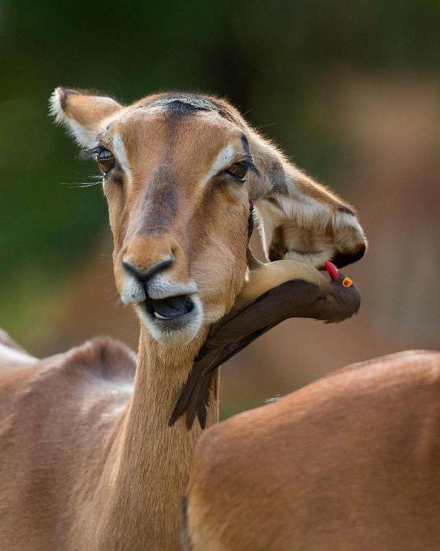 daily picdump 99 pics 33.html - 99 HD Photos | Premium Gallery 2018