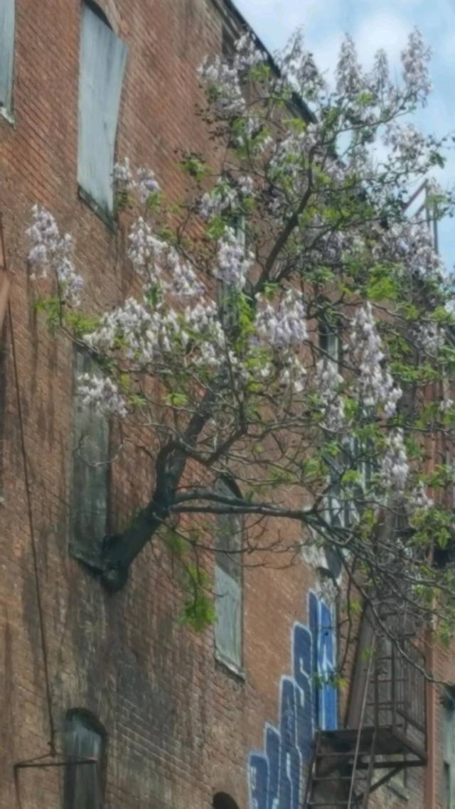 morning picdump 51 pics 26.html - 51 HD Photos | Premium Gallery 2018