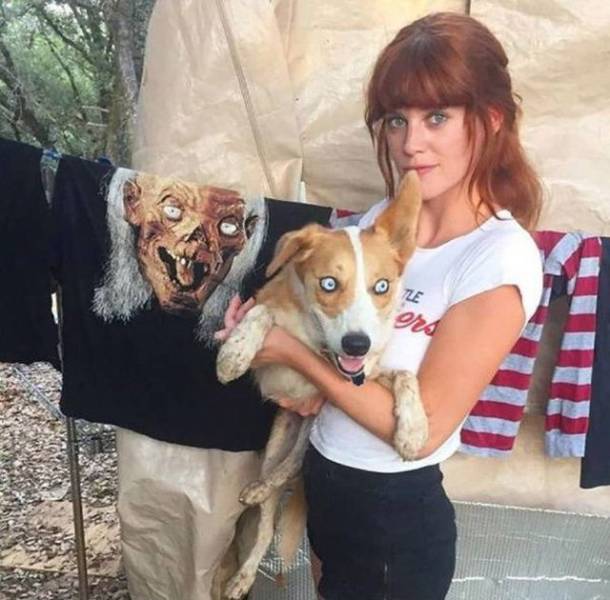 daily picdump 92 pics 41.html - 92 HD Photos | Premium Gallery 2018