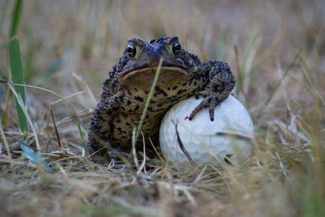 daily picdump 92 pics 41.html - 92 HD Photos | Premium Gallery 2018