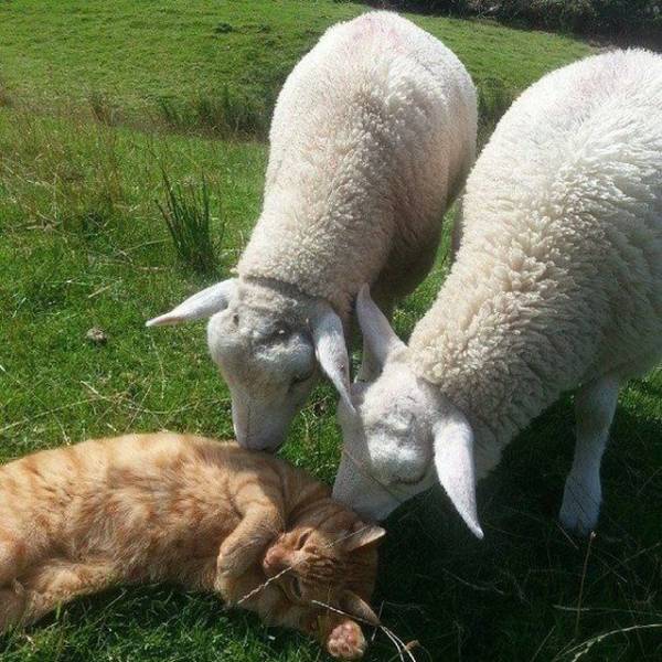 daily picdump 92 pics 41.html - 92 HD Photos | Premium Gallery 2018