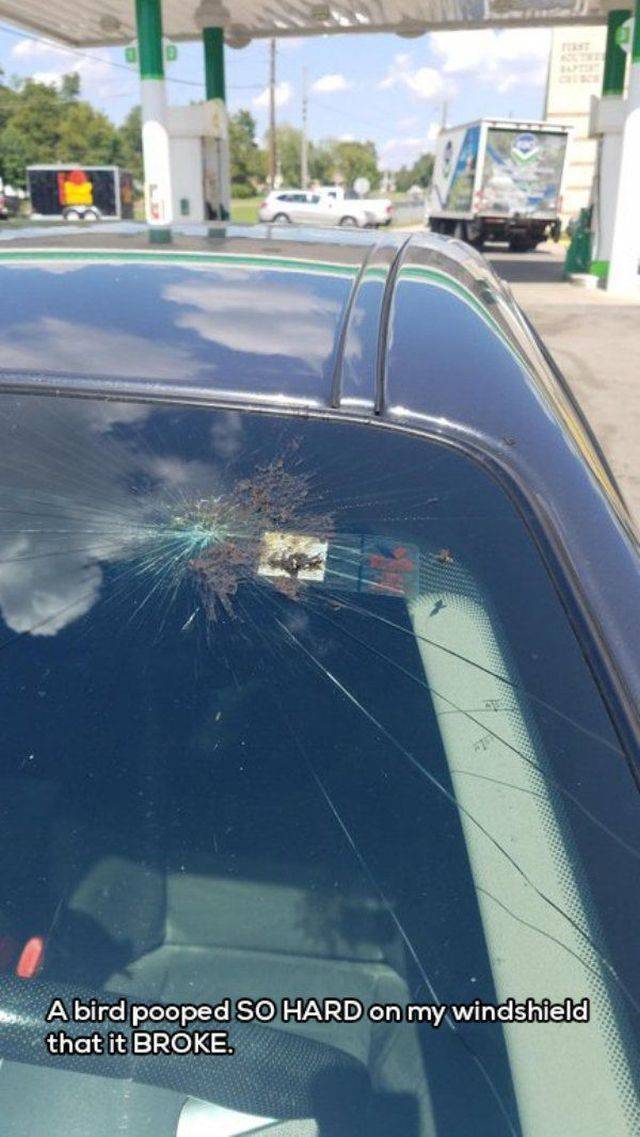 daily picdump 92 pics 41.html - 92 HD Photos | Premium Gallery 2018