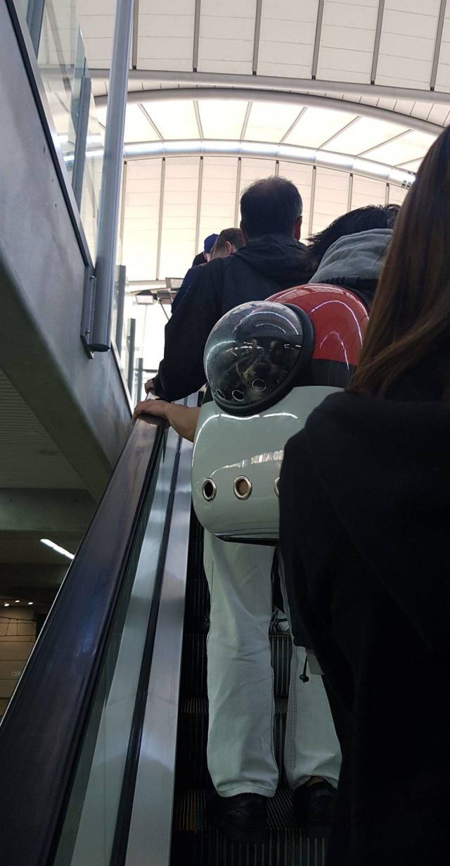 daily picdump 92 pics 41.html - 92 HD Photos | Premium Gallery 2018