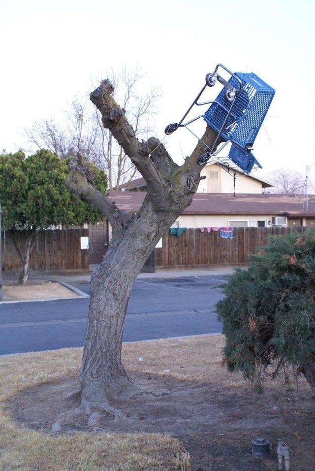 daily picdump 92 pics 41.html - 92 HD Photos | Premium Gallery 2018