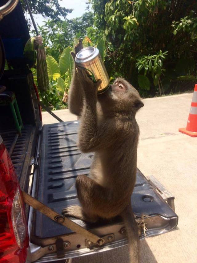 daily picdump 92 pics 41.html - 92 HD Photos | Premium Gallery 2018