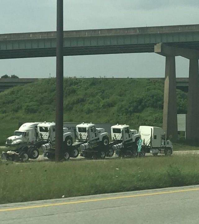 daily picdump 92 pics 41.html - 92 HD Photos | Premium Gallery 2018