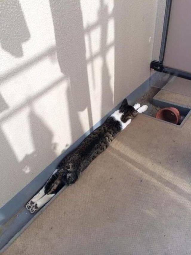 daily picdump 92 pics 41.html - 92 HD Photos | Premium Gallery 2018