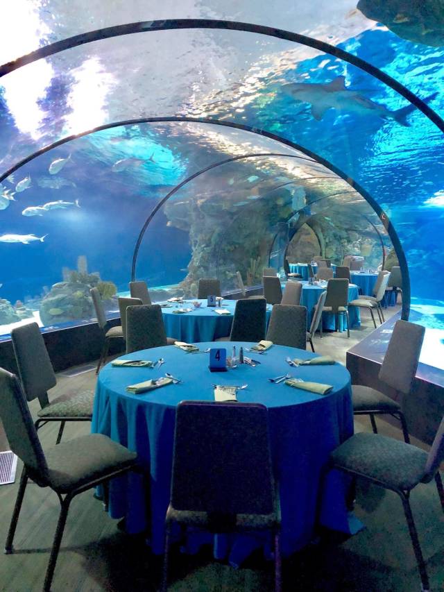 morning picdump 52 pics 39.html - 52 HD Photos | Premium Gallery 2018