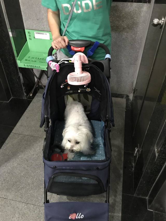 morning picdump 52 pics 39.html - 52 HD Photos | Premium Gallery 2018