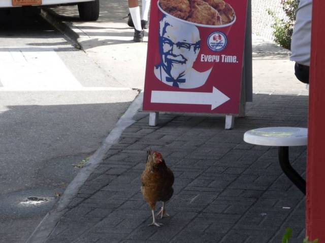 daily picdump 94 pics 9.html - 94 HD Photos | Premium Gallery 2018