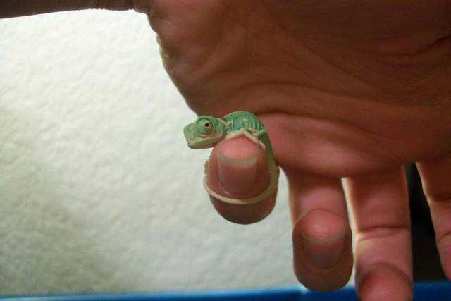 daily picdump 94 pics 9.html - 94 HD Photos | Premium Gallery 2018