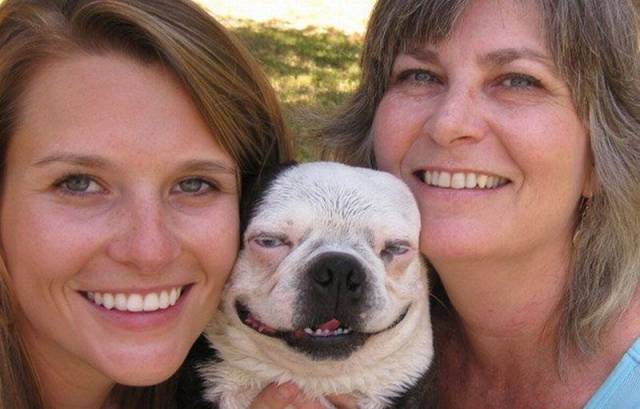 daily picdump 94 pics 9.html - 94 HD Photos | Premium Gallery 2018