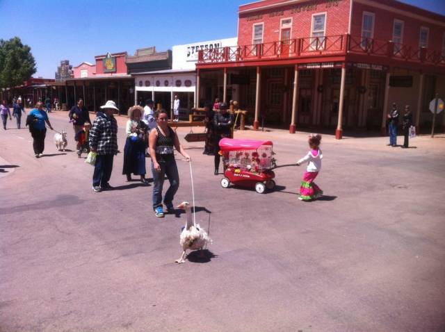 daily picdump 94 pics 9.html - 94 HD Photos | Premium Gallery 2018