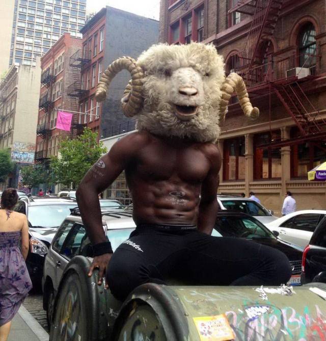 daily picdump 94 pics 9.html - 94 HD Photos | Premium Gallery 2018