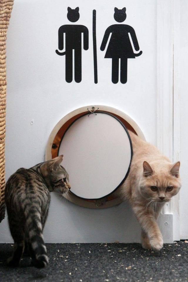 daily picdump 94 pics 9.html - 94 HD Photos | Premium Gallery 2018