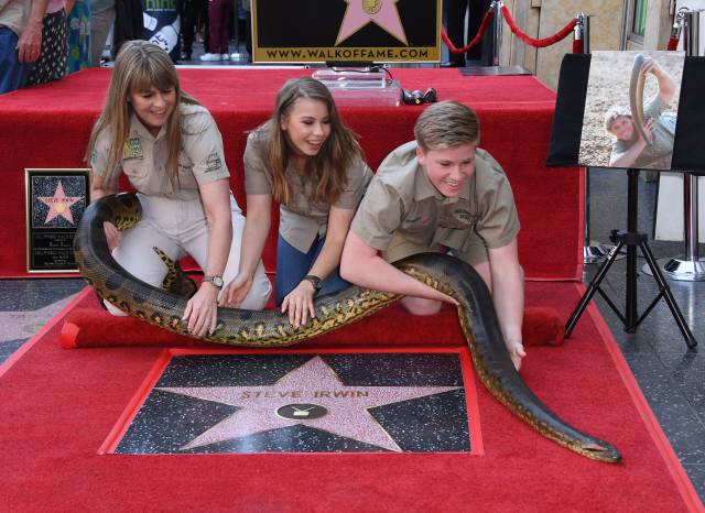 morning picdump 50 pics 11.html - 50 HD Photos | Premium Gallery 2018