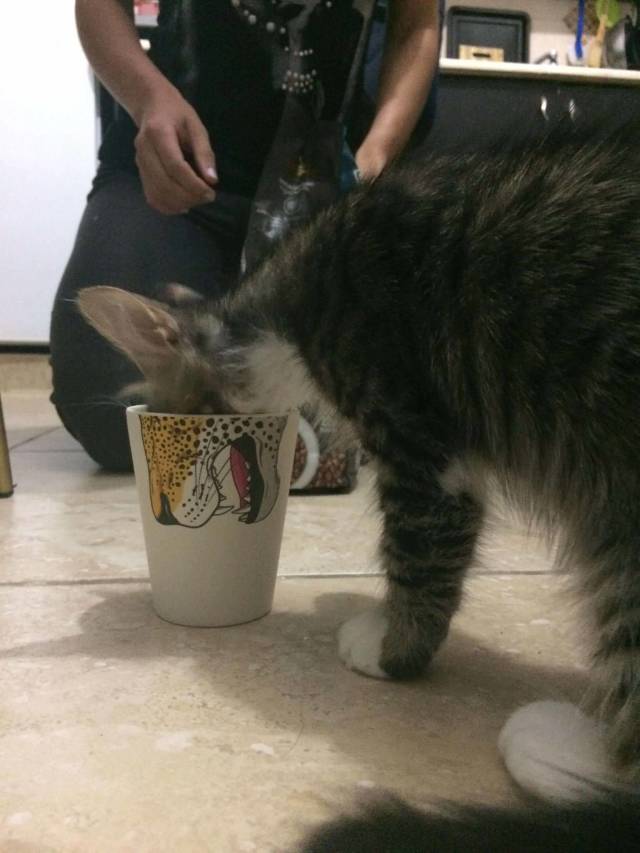 morning picdump 50 pics 11.html - 50 HD Photos | Premium Gallery 2018