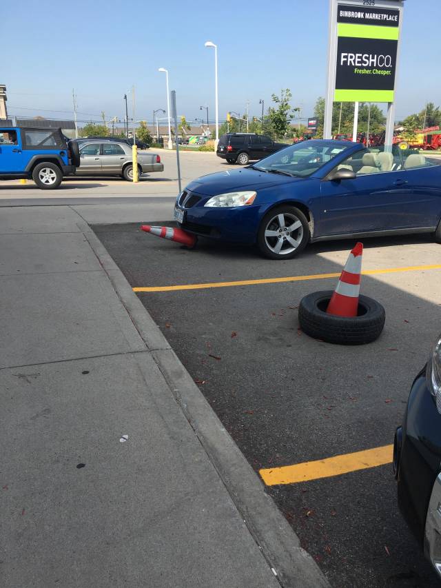 morning picdump 50 pics 11.html - 50 HD Photos | Premium Gallery 2018