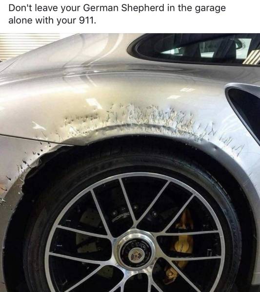 daily picdump weekend edition 51 pics 4.html - 51 HD Photos | Premium Gallery 2018