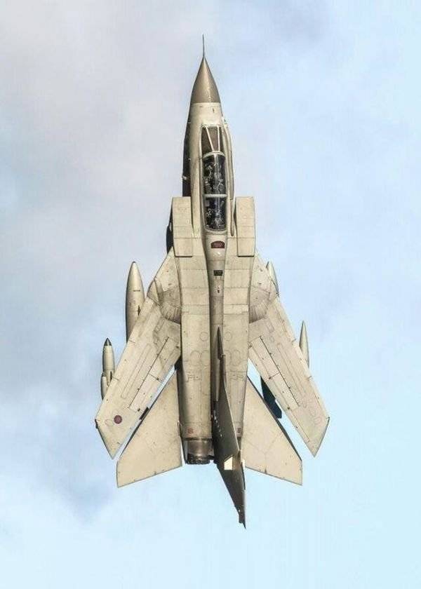 daily picdump weekend edition 51 pics 4.html - 51 HD Photos | Premium Gallery 2018