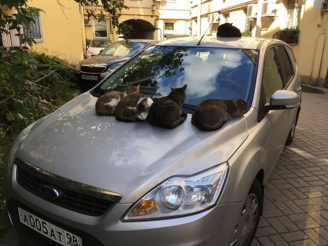 daily picdump 100 pics 45.html - 100 HD Photos | Premium Gallery 2018