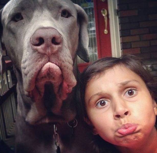 daily picdump 100 pics 45.html - 100 HD Photos | Premium Gallery 2018