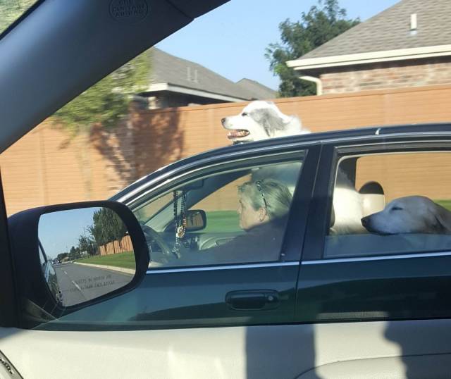 daily picdump 100 pics 45.html - 100 HD Photos | Premium Gallery 2018